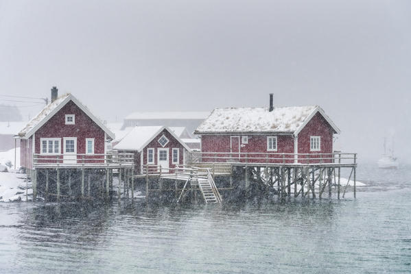 Traditional fishermen houses under the snow. Reine, Nordland, Northern Norway, Norway.
