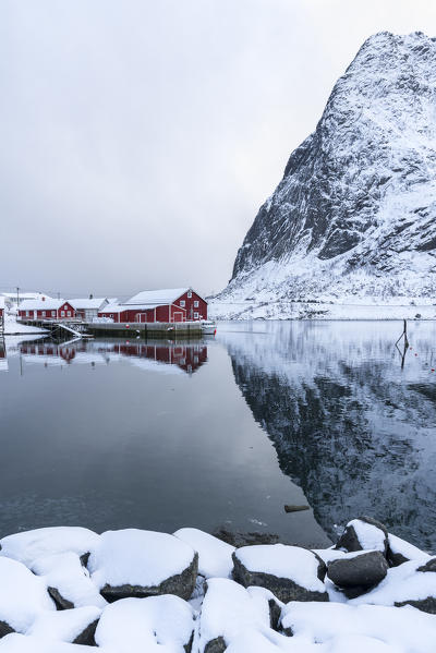 Traditional 'rorbu' houses with Reinebringen mountain reflected on the frozen fjord. Reine, Lofoten district, Nordland county, Northern Norway, Norway.