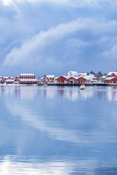 Traditional 'rorbu' houses reflected on the fjord in winter. Reine, Lofoten district, Nordland county, Northern Norway, Norway.