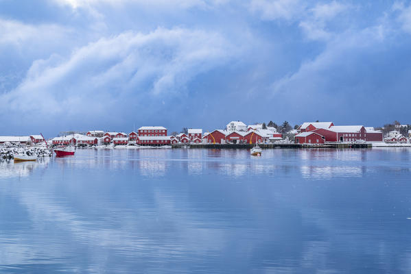 Traditional 'rorbu' houses reflected on the fjord in winter. Reine, Lofoten district, Nordland county, Northern Norway, Norway.