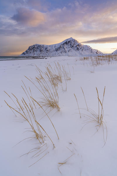Skagsanden beach at dawn in winter. Flakstad, Nordland county, Northern Norway, Norway.