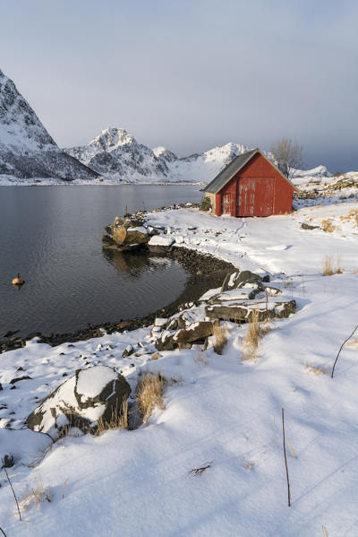 Red cabin in the snow with mountains in the background. Vestpollen, Leknes, Nordland county, Northern Norway, Norway.