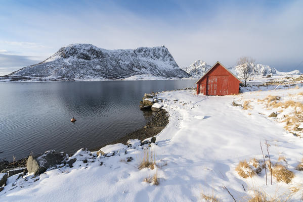 Red cabin in the snow with mountains in the background. Vestpollen, Leknes, Nordland county, Northern Norway, Norway.
