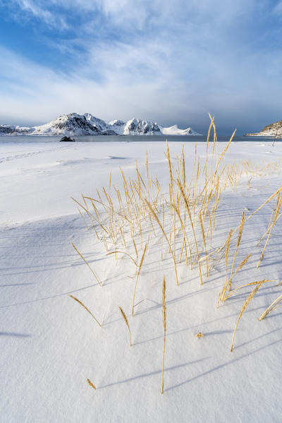 Haukland Beach in winter. Leknes, Nordland county, Northern Norway, Norway.