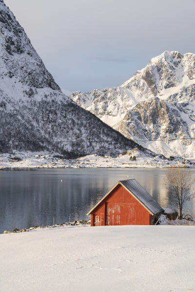 Red cabin in the snow with mountains in the background. Vestpollen, Leknes, Nordland county, Northern Norway, Norway.