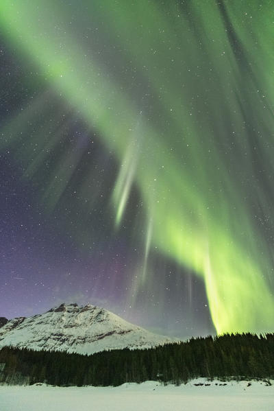 Northern lights in the sky above Skoddebergvatnet lake. Grovfjord, Troms county, Northern Norway, Norway.