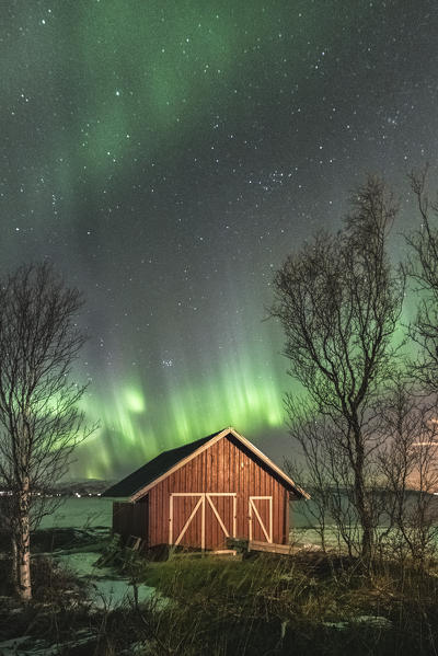 Red cabin and trees under the northern lights. Sandstrand, Troms county, Northern Norway, Norway.