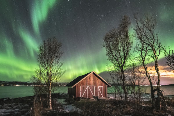 Red cabin and trees under the northern lights. Sandstrand, Troms county, Northern Norway, Norway.