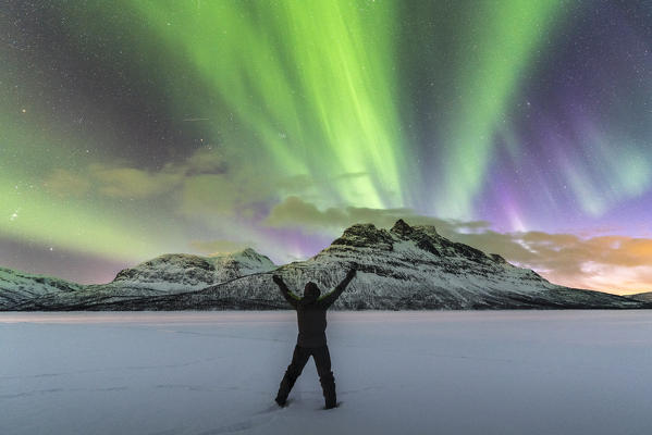 Man gazing at the northern lights in the sky above Skoddebergvatnet lake. Grovfjord, Troms county, Northern Norway, Norway.