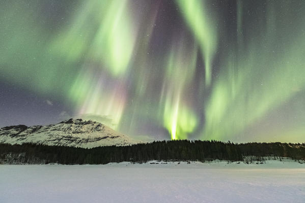 Northern lights in the sky above Skoddebergvatnet lake. Grovfjord, Troms county, Northern Norway, Norway.