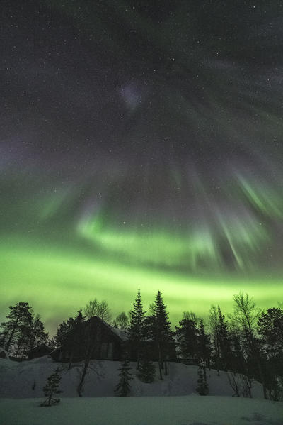 Northern lights in the sky above the trees. Skoddebergvatnet lake, Grovfjord, Troms county, Northern Norway, Norway.