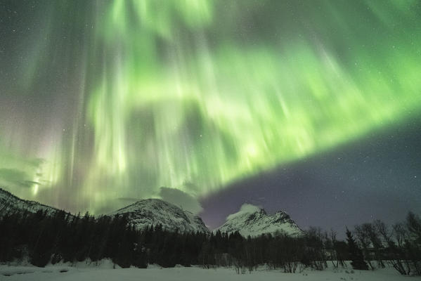 Northern lights in the sky above mountain peaks and trees. Skoddebergvatnet lake, Grovfjord, Troms county, Northern Norway, Norway.