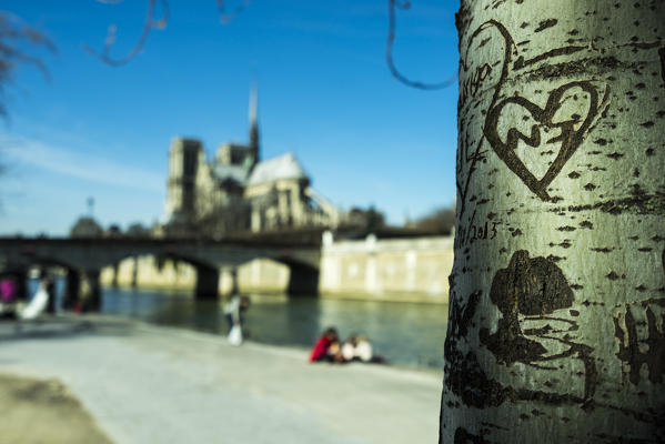 The writing of lovers on a tree trunk along the banks of the Seine river,Paris, France