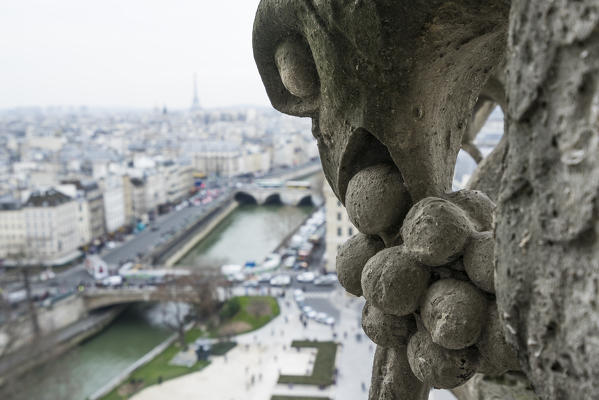 Close up on a Gargoyle of Notre Dame de Paris, France