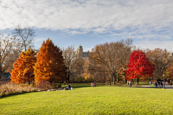 Central Park, New York City, USA