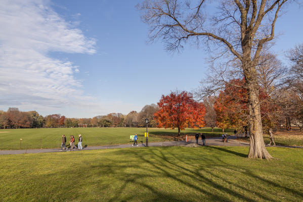 Central Park, New York City, USA