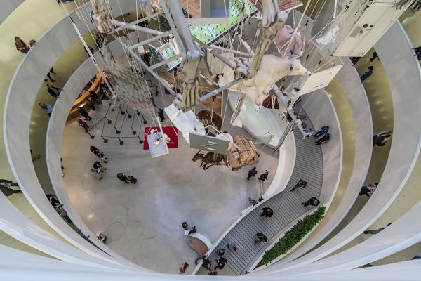 USA, New York State, New York City, Manhattan, Solomon R Guggenheim Museum, installation of Maurizio Cattelan