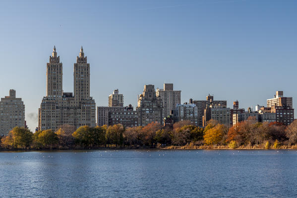 runner in Central Park, New York City, USA