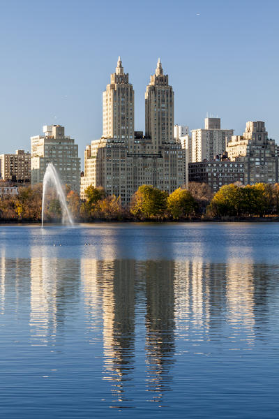 runner in Central Park, New York City, USA