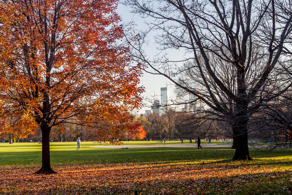 Central Park, New York City, USA