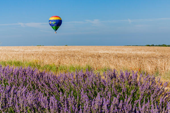 France, Provence Alps Cote d'Azur, Haute Provence, Plateau of Valensole. hot air ballon in Provence