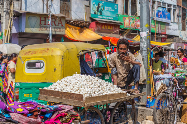 India, Delhi, A man sells garlic in the street