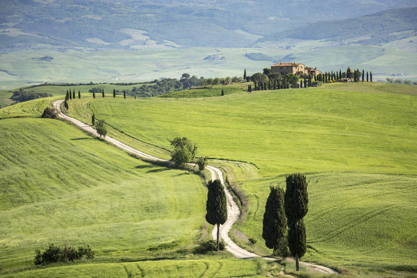 Road with cypresses and a farmhouse. Orcia Valley, Siena district, Tuscany, Italy.