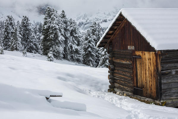 Wooden lodge and pines covered in snow. Passo delle Erbe, Bolzano, Trentino Alto Adige - Sudtirol, Italy, Europe.