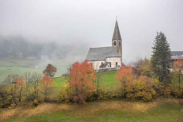 Church surrounded by autumnal trees and mist. Santa Maddalena, Funes, Bolzano, Trentino Alto Adige - Sudtirol, Italy, Europe.