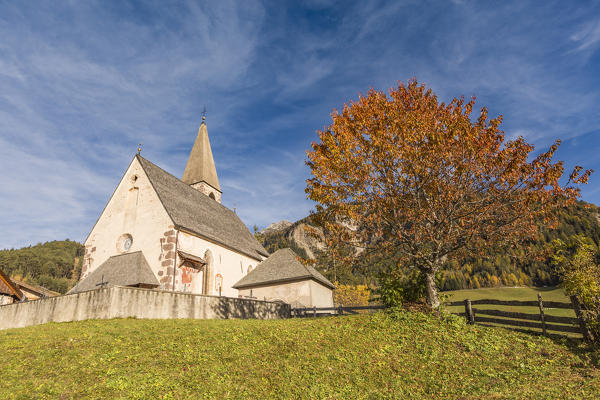 Autumnal cherry tree and the church of the village. Santa Maddalena, Funes, Bolzano, Trentino Alto Adige - Sudtirol, Italy, Europe.