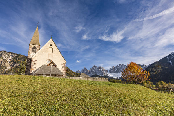 Autumnal cherry tree and the church of the village. Santa Maddalena, Funes, Bolzano, Trentino Alto Adige - Sudtirol, Italy, Europe.