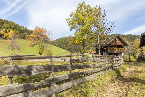 Autumnal scenery with mountain lodge and fence. Santa Maddalena, Funes, Bolzano, Trentino Alto Adige - Sudtirol, Italy, Europe.