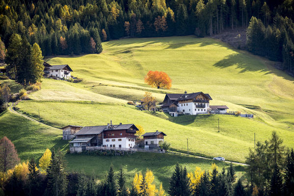 Autumnal scenery with mountain lodges and trees . Santa Maddalena, Funes, Bolzano, Trentino Alto Adige - Sudtirol, Italy, Europe.