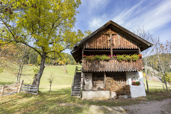 Mountain lodge and tree.  Santa Maddalena, Funes, Bolzano, Trentino Alto Adige - Sudtirol, Italy, Europe.