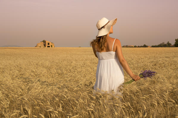 Woman with hat and lavender in hands in a wheat field. Plateau de Valensole, Alpes-de-Haute-Provence, Provence-Alpes-Côte d'Azur, France, Europe.