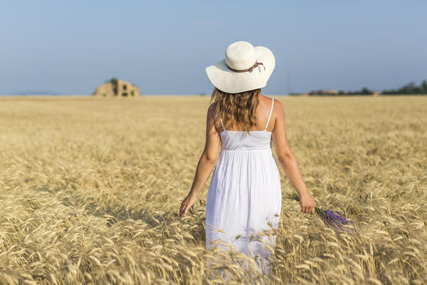 Woman with hat and lavender in hands in a wheat field. Plateau de Valensole, Alpes-de-Haute-Provence, Provence-Alpes-Cote d'Azur, France, Europe.