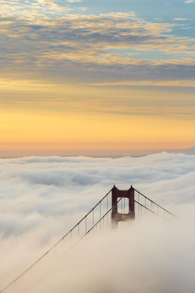 Golden Gate Bridge emerging from the morning fog at sunrise. San Francisco, Marin County, California, USA.