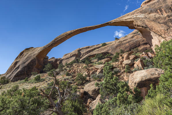 Landscape Arch, Arches National Park, Moab, Grand County, Utah, USA.