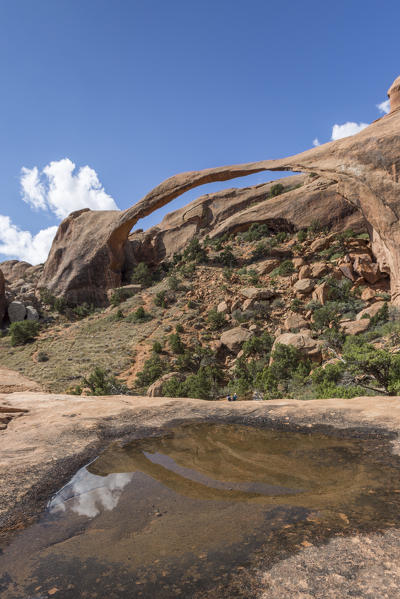 Landscape Arch reflected, Arches National Park, Moab, Grand County, Utah, USA.