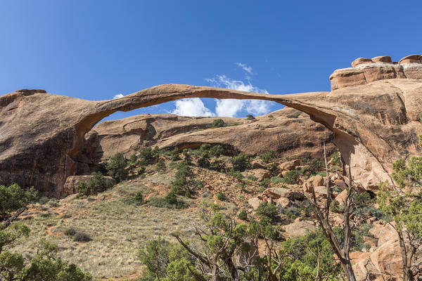 Landscape Arch, Arches National Park, Moab, Grand County, Utah, USA.
