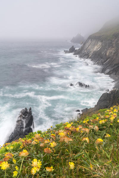 Slea Head, Dingle Peninsula, County Kerry, Munster region, Republic of Ireland, Europe.