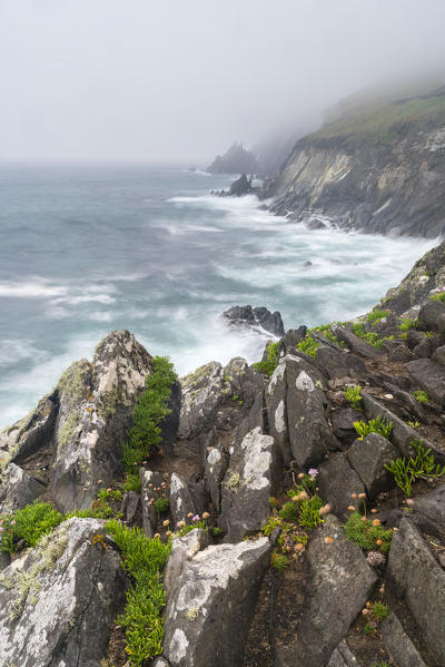 Slea Head, Dingle Peninsula, County Kerry, Munster region, Republic of Ireland, Europe.