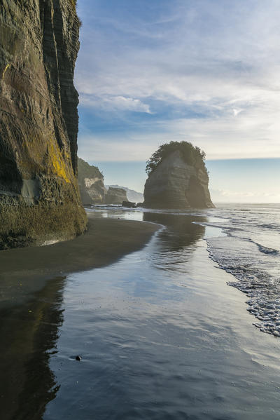 Elephant Rock. Tongaporutu, New Plymouth district. Taranaki region, North Island, New Zealand.