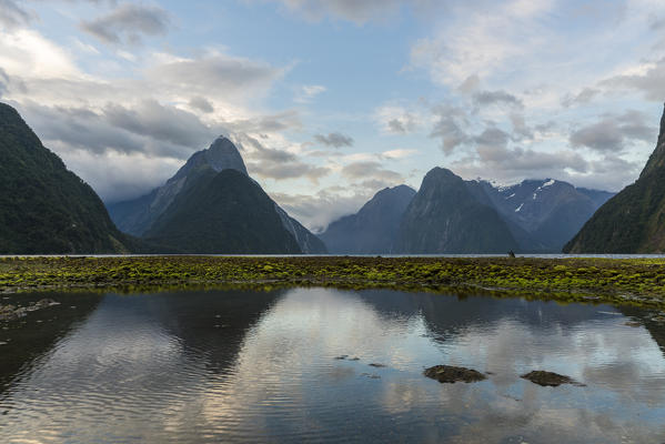 Milford Sound with low tide on a cloudy summer day. Fiordland NP, Southland district, Southland region, South Island, New Zealand.