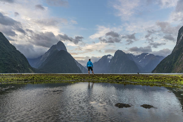 Man admiring Milford Sound with low tide. Fiordland NP, Southland district, Southland region, South Island, New Zealand.