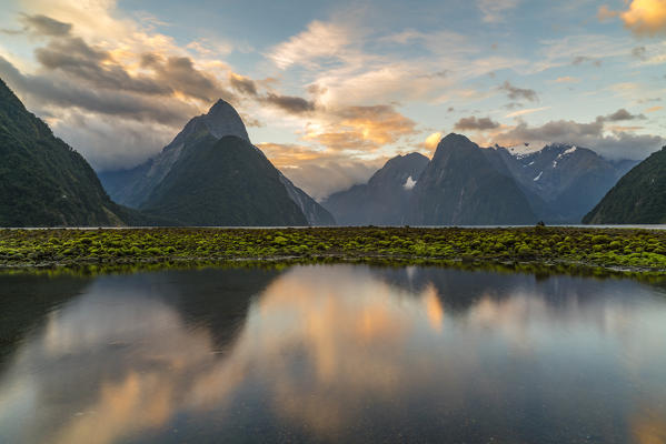 Reflection of Milford Sound with low tide at sunset in summer. Fiordland NP, Southland district, Southland region, South Island, New Zealand.