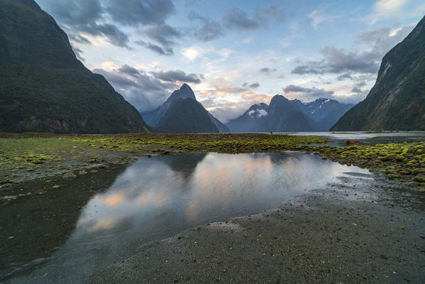 Milford Sound with low tide at sunset in summer. Fiordland NP, Southland district, Southland region, South Island, New Zealand.