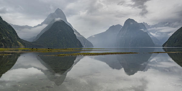 Reflection of Milford Sound on a cloudy summer day. Fiordland NP, Southland district, Southland region, South Island, New Zealand.