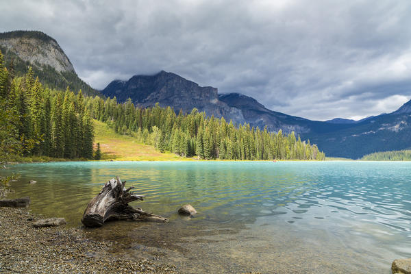 Emerald Lake in Yoho National Park, Field, British Columbia, Canada