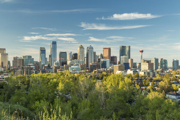 The skyline of Calgary, Alberta, Canada